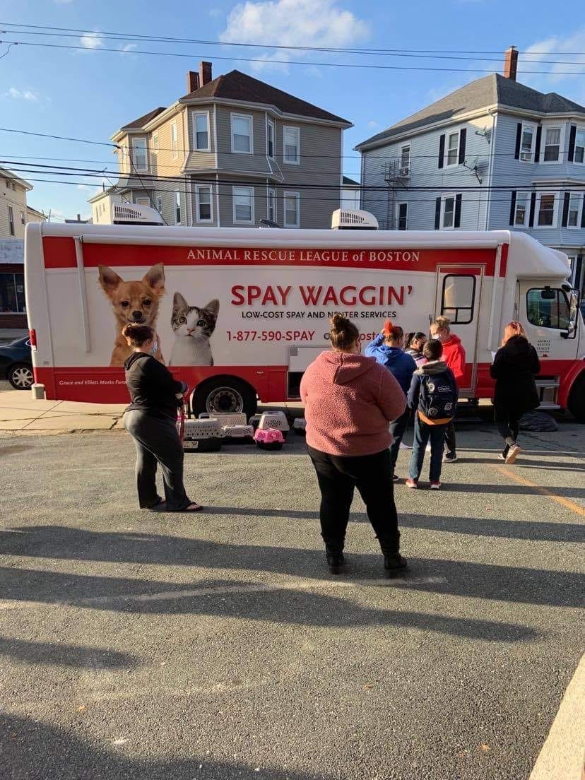 free spay clinic near me